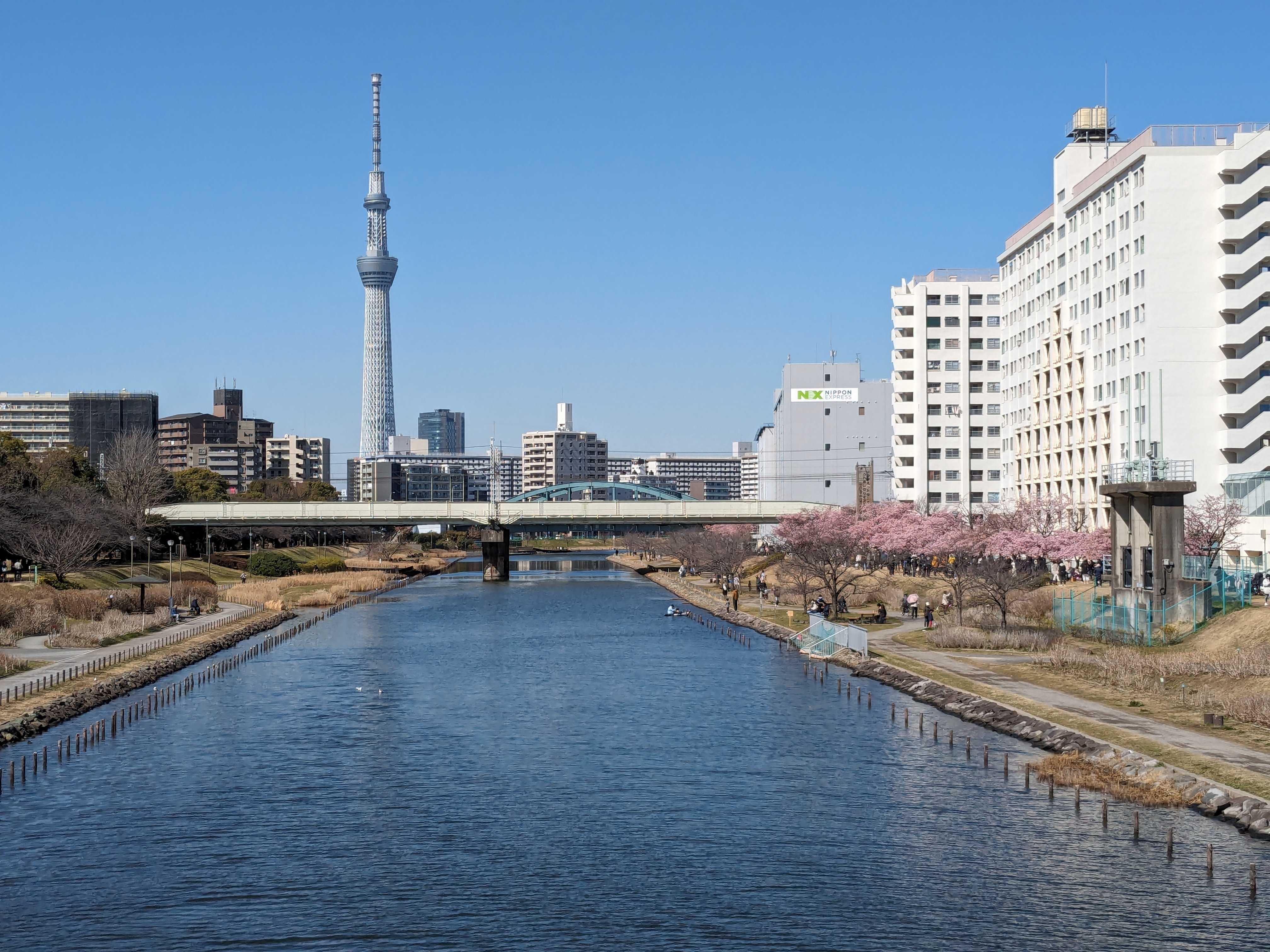 水辺と空をつなぐ「旧中川ふれあい橋」